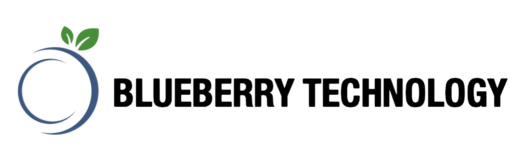 Blueberry Technology Logo