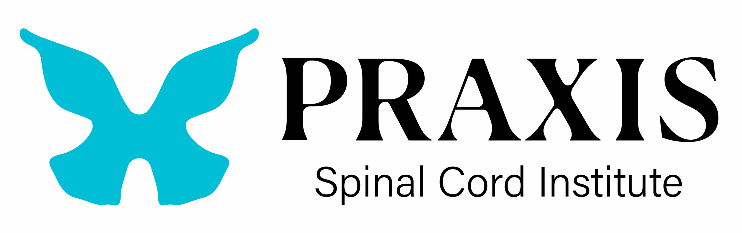 Praxis Spinal Cord Institute
